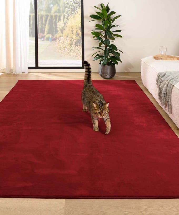 Zacht vloerkleed - Plush rood 80x150