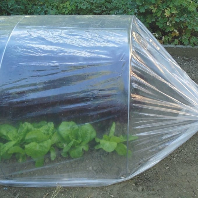 Tunnelfolie 2x10m