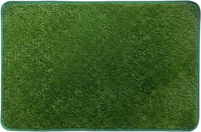 Hondengrasmat - Kunstgras puppy - Zindelijkheidstraining - Realistisch ontwerp - 46x71 cm - Groen