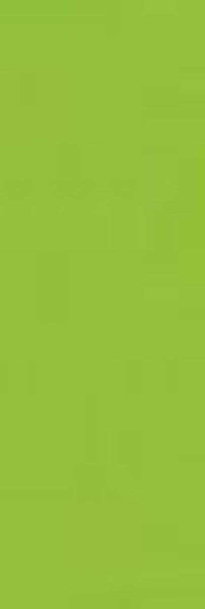 Folia Fotokarton licht groen 50X70-300G