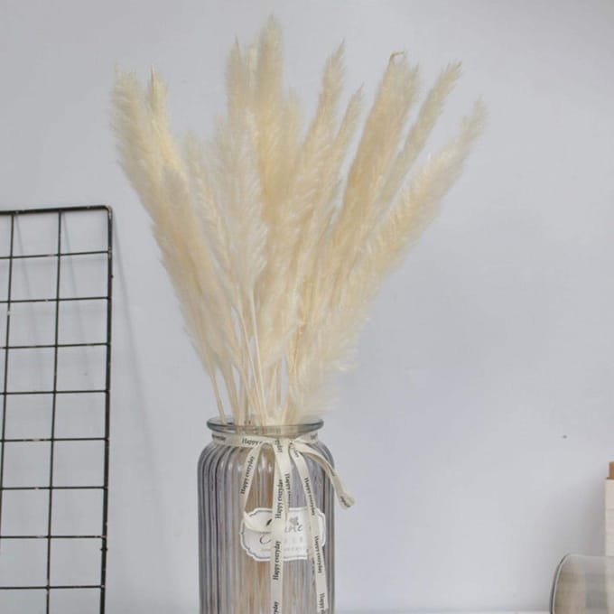 Gedroogde bloemen - Rietgras decoratie - Woonkamer aankleden - Natuurlijk & lang houdbaar - 55 cm lang - Natuurlijk beige