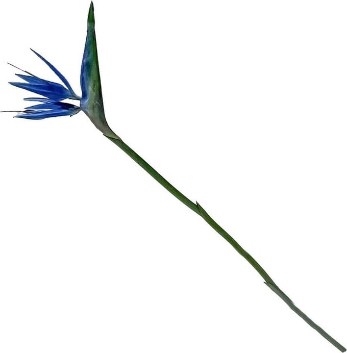 HomeBound by KY | Kunstbloem Strelitzia blauw | kunstbloem | kunstbloem Strelitzia