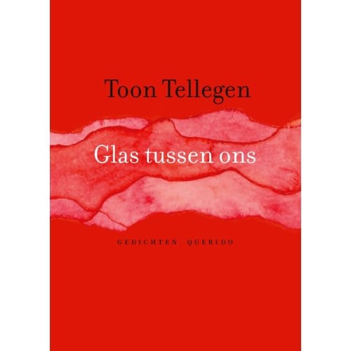 Glas Tussen Ons - Toon Tellegen
