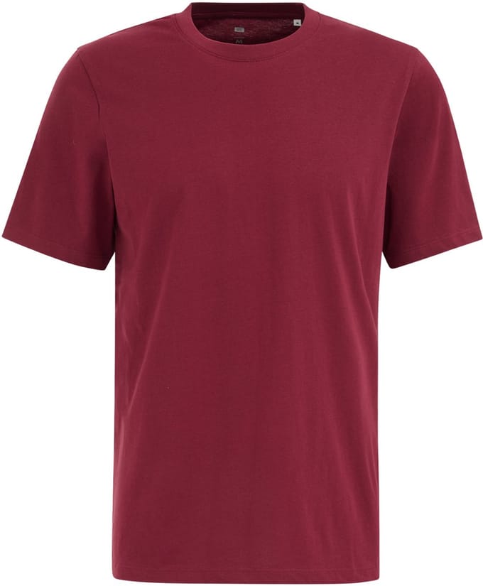 WE Fashion Heren regular fit T-shirt