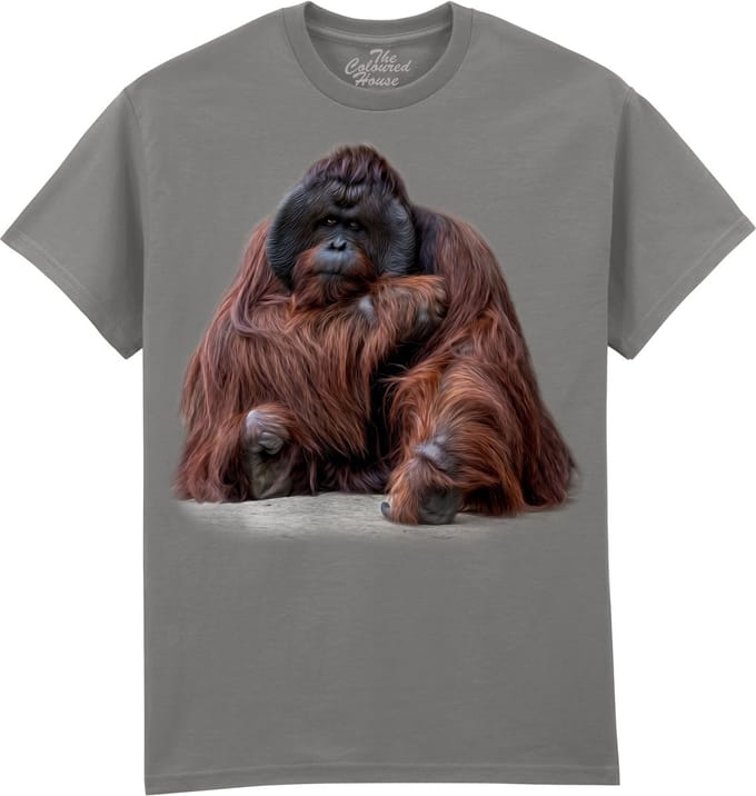 Orangoetan Wisdom Beyond Words - Orangutan The Coloured House T-shirt M