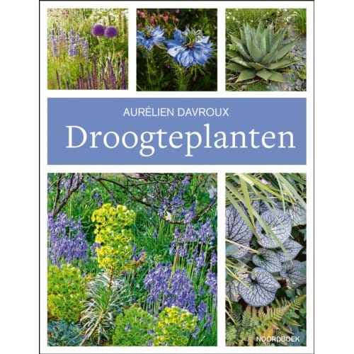 Droogteplanten - Aurélien Davroux