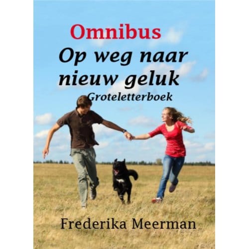Op Weg Naar Nieuw Geluk - Frederika Meerman