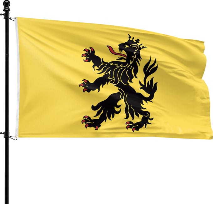 VlagDirect - Hulst vlag - Gemeente Hulst vlag - 90 x 150 cm.