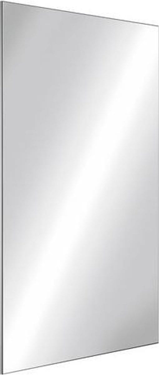 Onbreekbare spiegel 10 x 595 x 980 RVS spiegelgepolijst