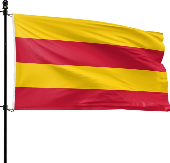 VlagDirect - Heemstede vlag - Gemeente Heemstede vlag - 90 x 150 cm.