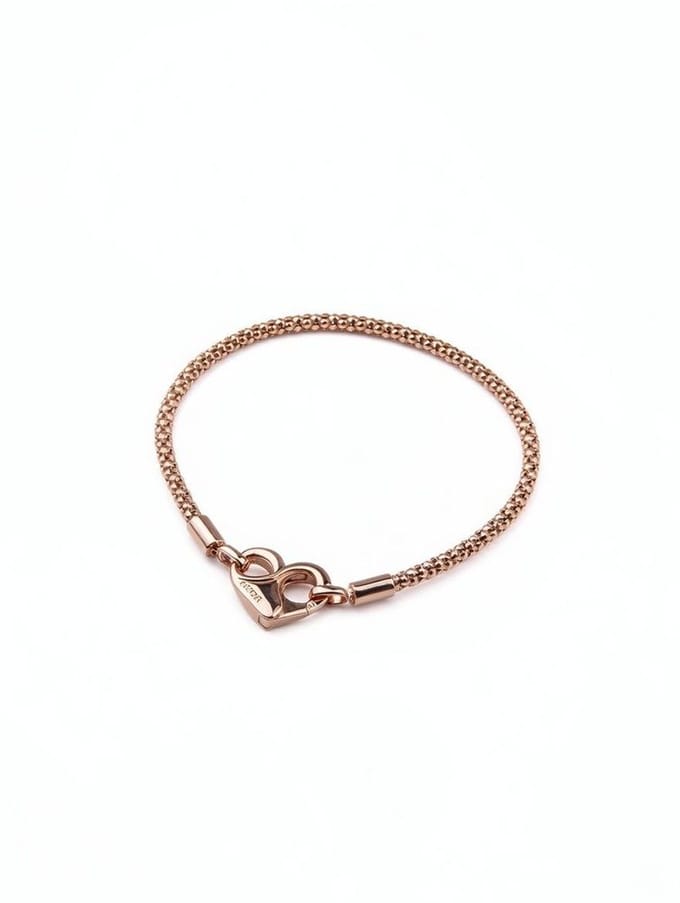 Pandora Armband Zilver