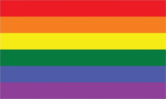 Regenboogvlag 120x180cm