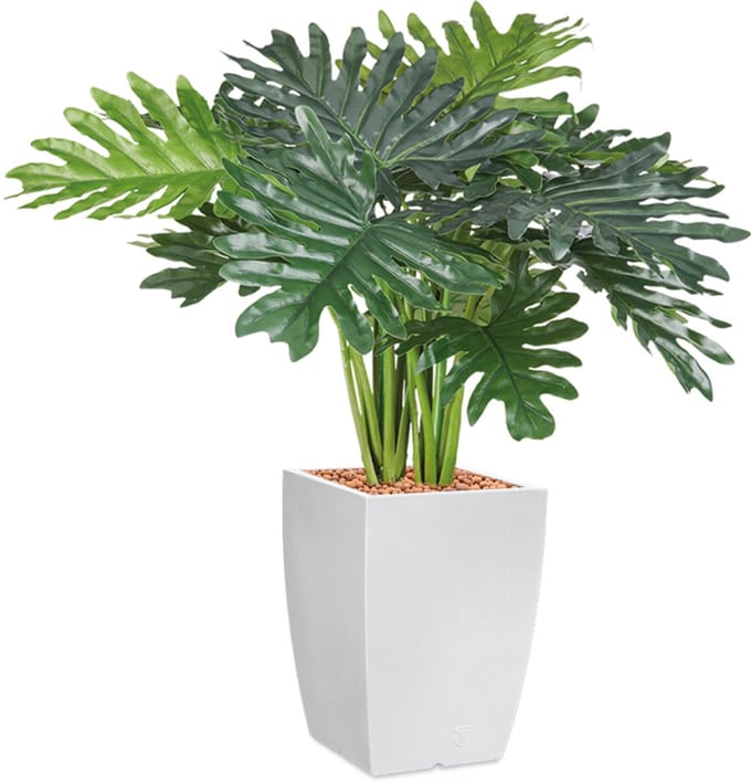 Kunstplant Philo Xanadu in Genesis vierkant H90 cm