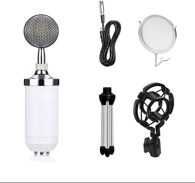 Draagbare Microfoonset - Zangmicrofoon Opname - Muziek Opnemen - Metaal Body - 19 cm - Wit