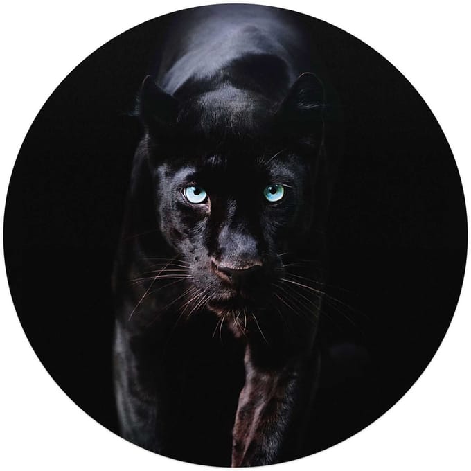 Plexiglasschilderij Zwarte Panter - Ø 70 - Acrylglas - REINDERS