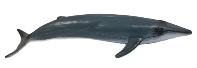 PIA Soft Toys - Speelfiguur Walvis - 15 cm