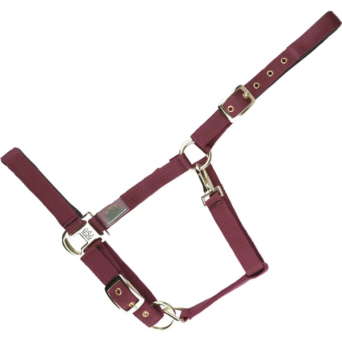 USG Halster Everyday Bordeaux Full