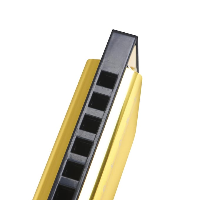 Harmonica IRIN 10 trous Clé de C 20 tons Cadeau musical avec étui de rangement pour étudiant débutant black