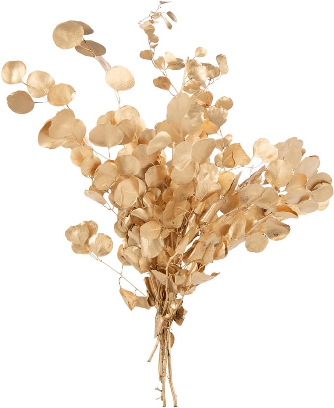 J-Line decoratie tak Eucalyptus Droogbloemen - riet - goud