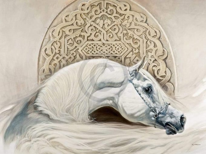 Kunstdruk Renato Casaro - Arabian Pride 80x60cm