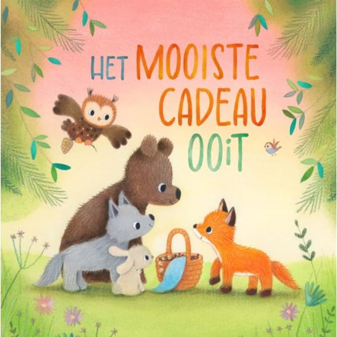 Het Mooiste Cadeau Ooit - Dubravka Kolanovic