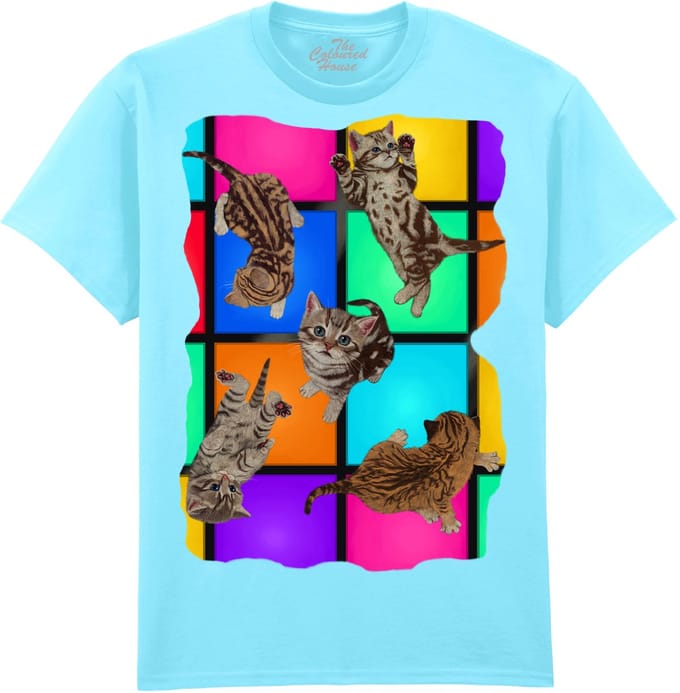 Disco Kittens The Coloured House T-shirt M
