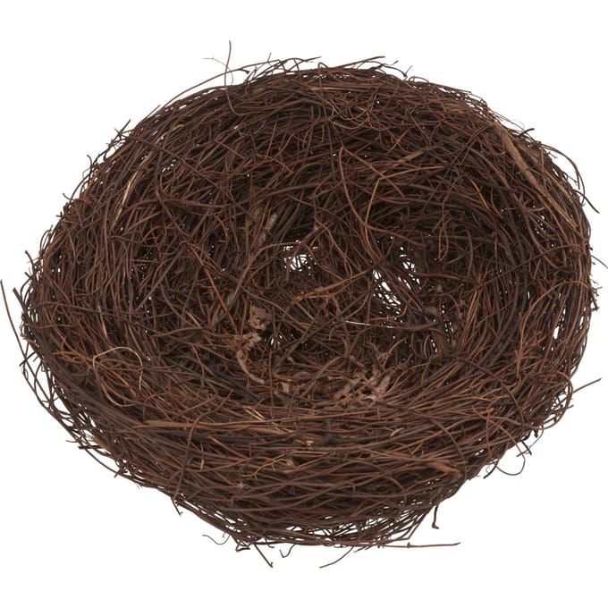VBS Borstelhout nest