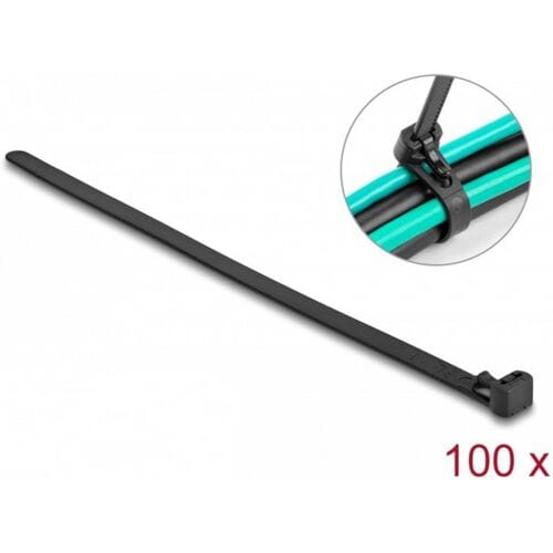 Delock 19066 Kabelbinder Zwart Hittegestabiliseerd, Herbruikbaar 100 stuk(s)