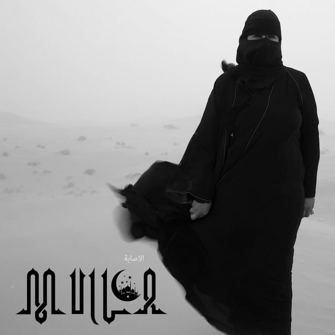 Mulla - The Injury (LP)
