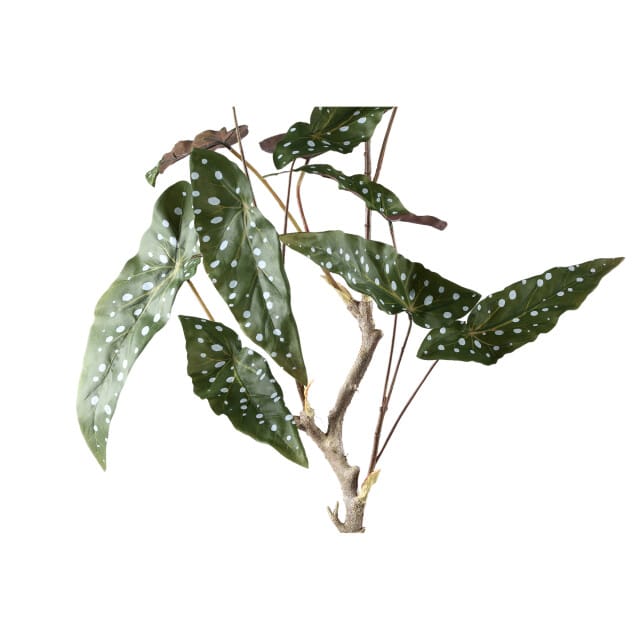 PTMD Kunstplant Begonia - 70x60x94 cm - Polyester - Groen