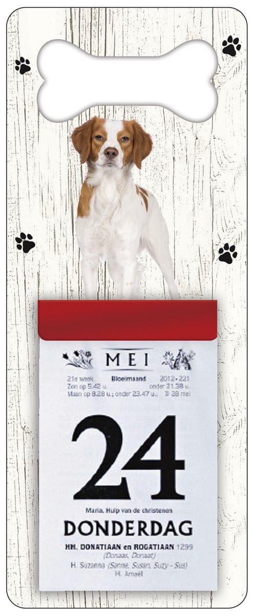 Scheurkalender 2027 Hond: Epagneul Breton