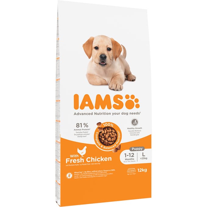 IAMS Advanced Nutrition Puppy & Junior Large Kip Hondenvoer - Dubbelpak: 2 x 12 kg
