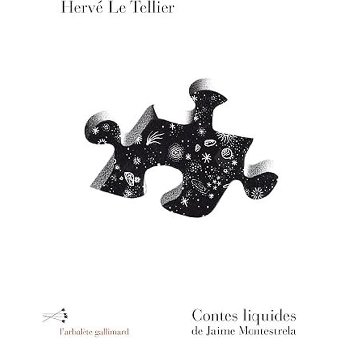 Contes Liquides De Jaime Montestrela - Hervé Le Tellier