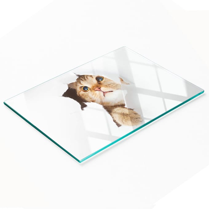 Gehard multifunctioneel decoratief bord van glas met de afbeelding van een kat in een gat, 80x52 cm.