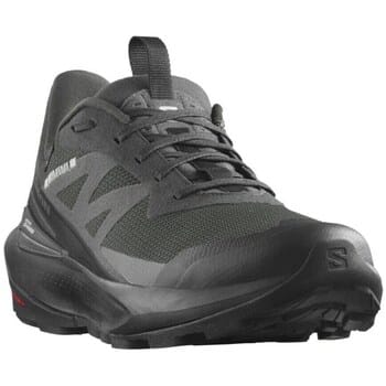 Wandelschoenen Salomon Elixir Activ Gtx Gore-tex