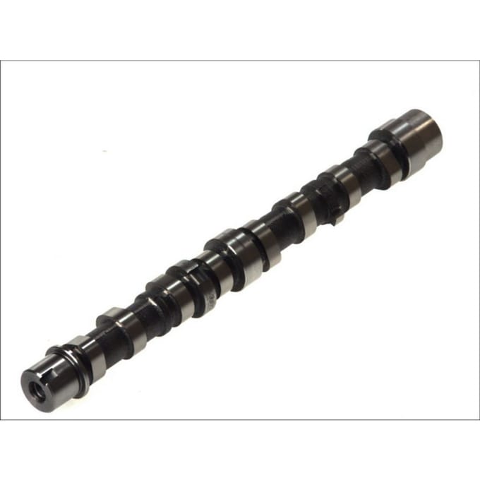 Nokkenas  AE CAM712