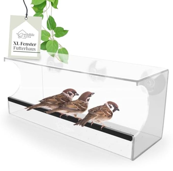 Transparant Vogelvoederhuis 30 cm voor Wilde Vogels - Raam Bevestiging