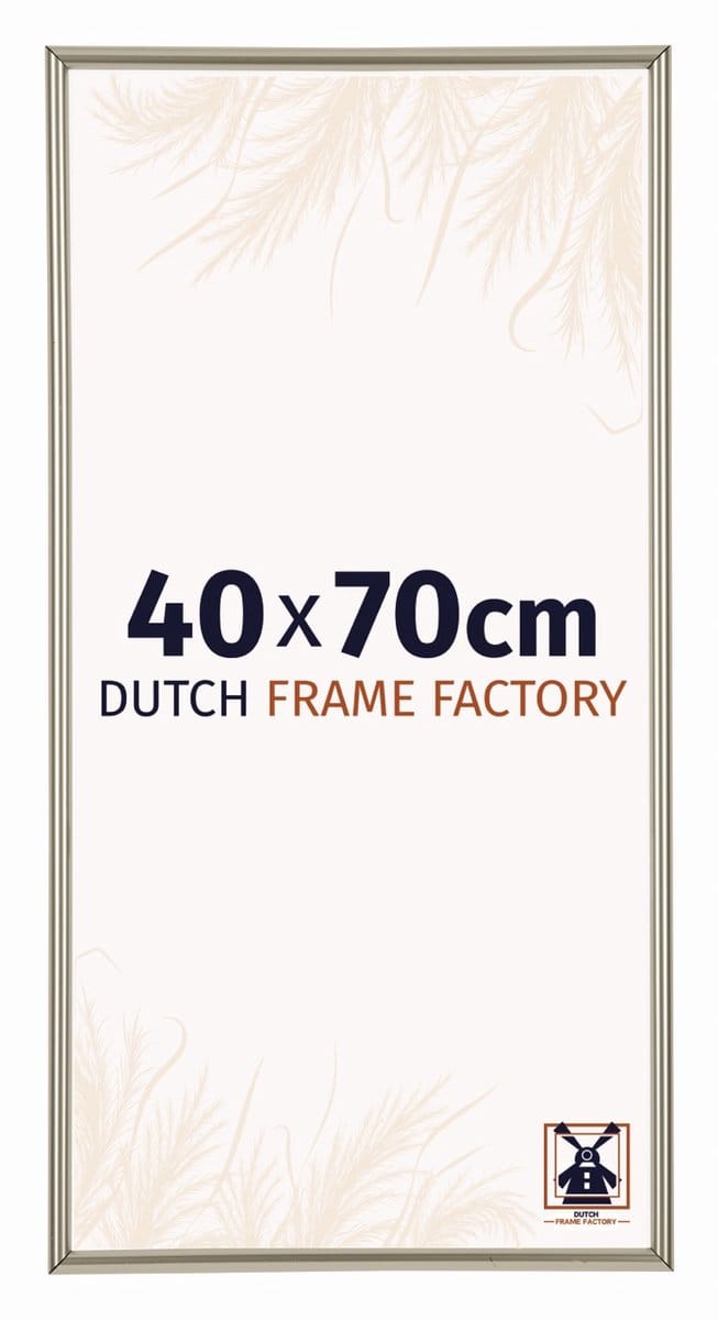 Fotolijst 40x70 cm - Kunststof - Champagne - Angers