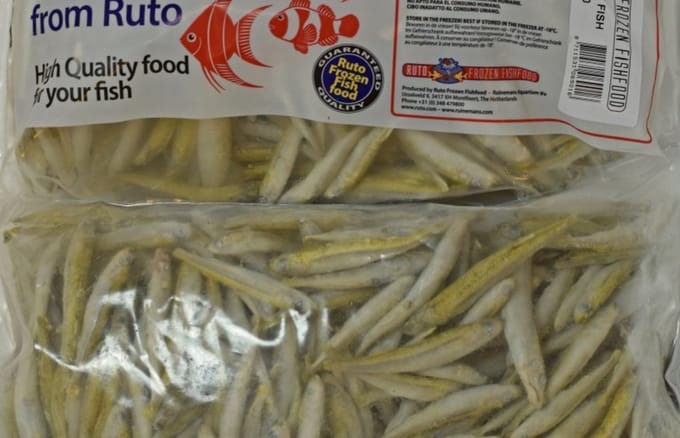 Ruto Spiering diepvriesvoer flatpack 1 kg | hele visjes Diepvries