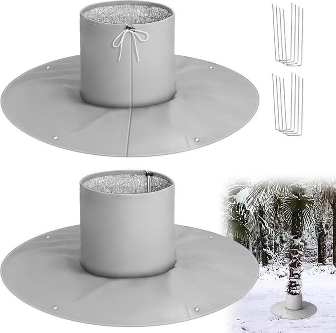 Solidchoice - 2 Stuks Winterbescherming voor Planten en Bomen