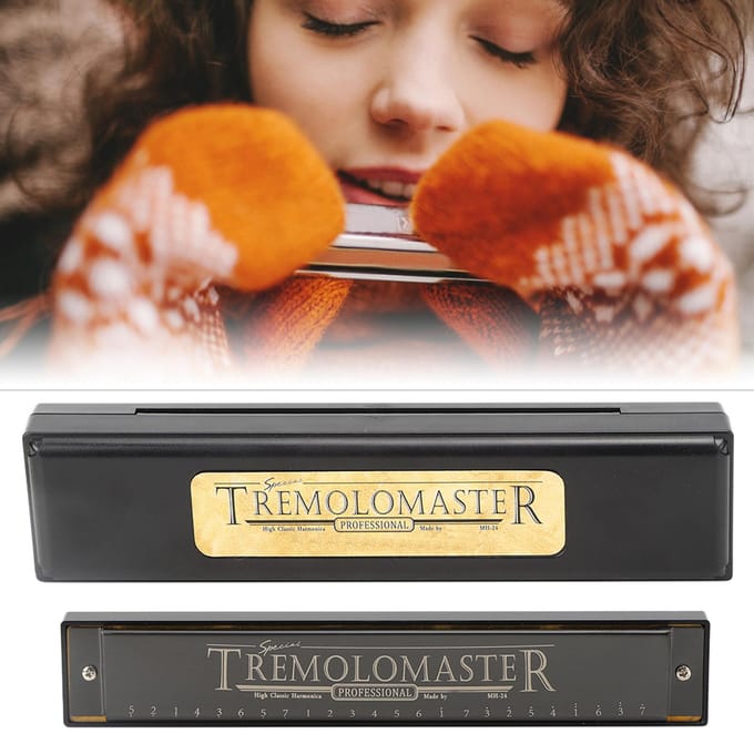 Professionele Mondharmonica Diatonische Harp Kinderen Geschenken Polyfoon C Toon 24 Gaten(Matzwart