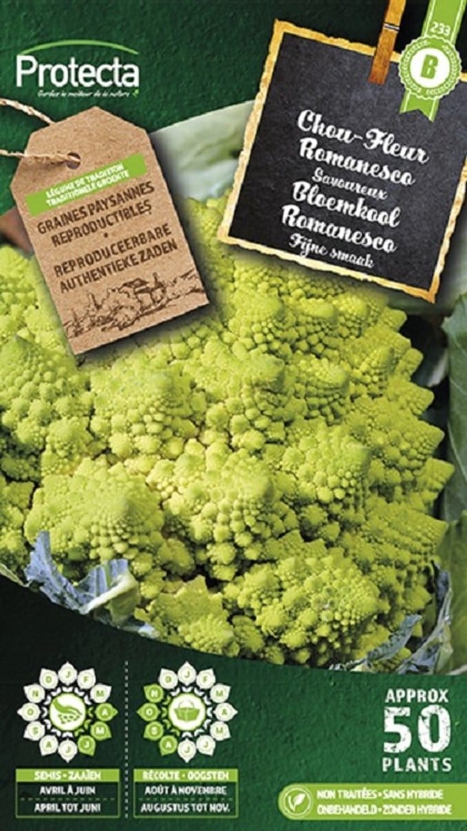 Protecta Groente zaden: Bloemkool Romanesco