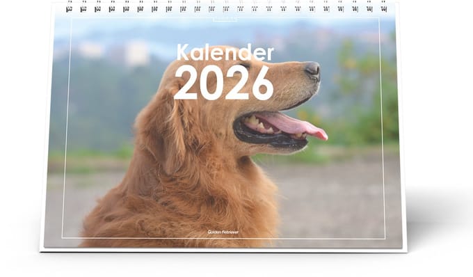 Huurdies - Bureaukalender 2026 - Golden Retriever