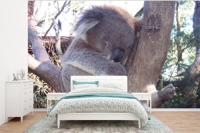 Behang - Fotobehang Koala - Boom - Grijs - Breedte 400 cm x hoogte 300 cm