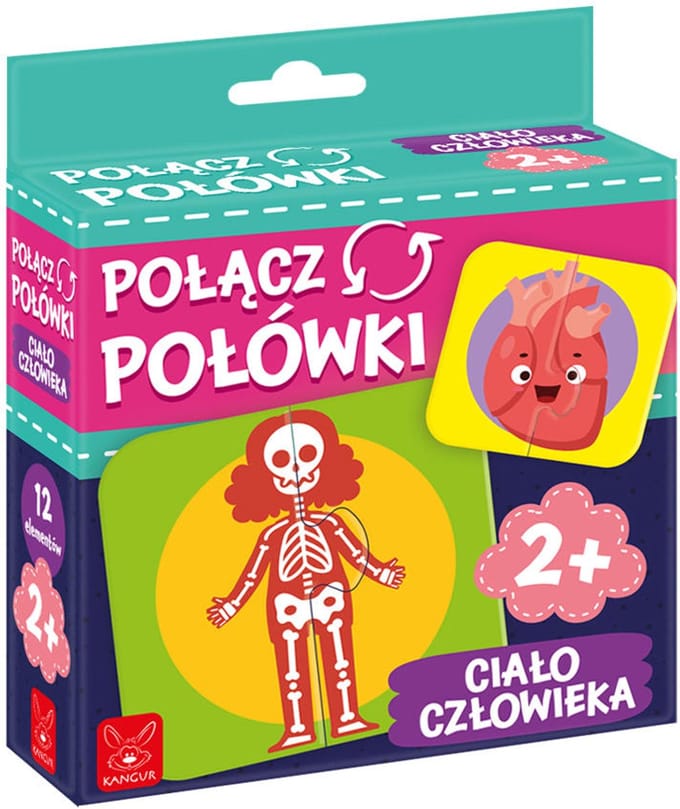 Verbind de helften van het menselijk lichaam - puzzel