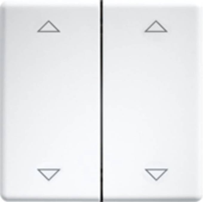 Eltako DW-FT55-rw+2P Dubbele tuimelschakelaar