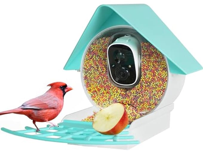 Birdkiss Slimme Vogelvoeder met Camera