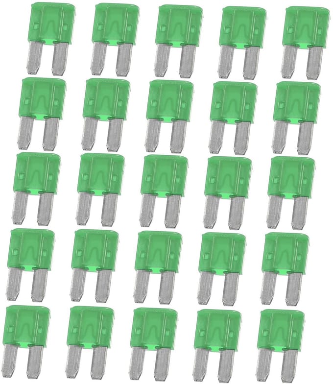 Dailygoods - 30A Mini Meszekeringen voor Auto Vrachtwagen Motor Groen (25 stuks)