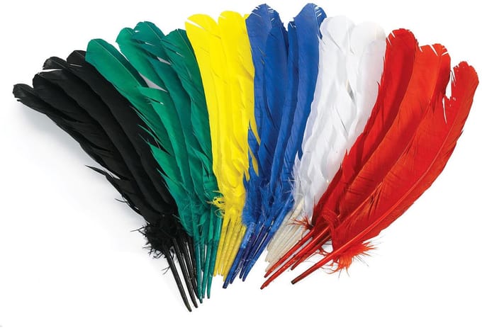 Colorations - Feathers 30cm Set of 24