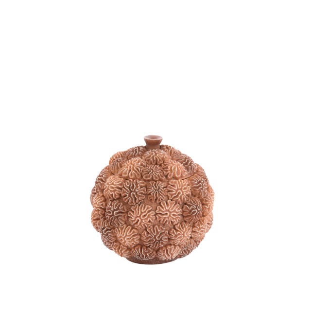 Light & Living - Deco box+deksel CORAL - Ø17x16cm - Bruin